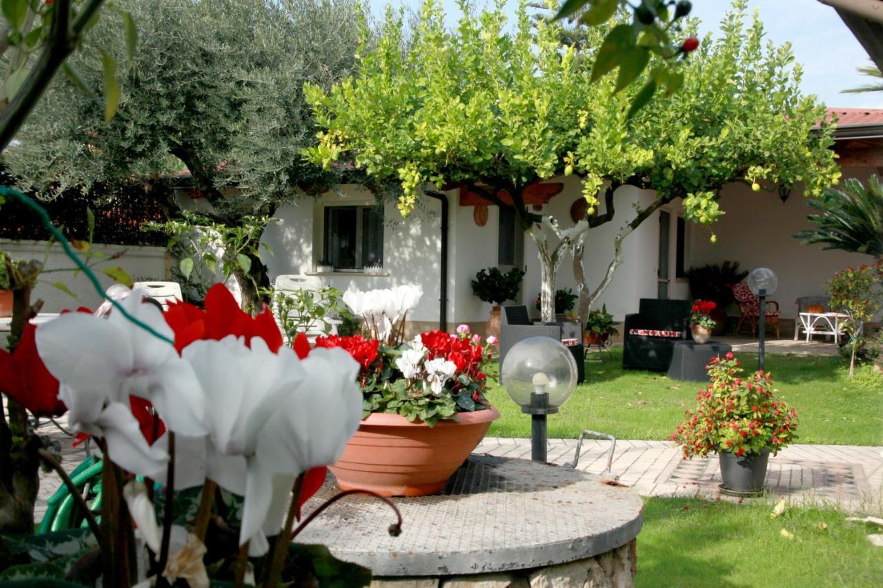 Villa Cecilia Bed And Breakfast Cellole Екстериор снимка