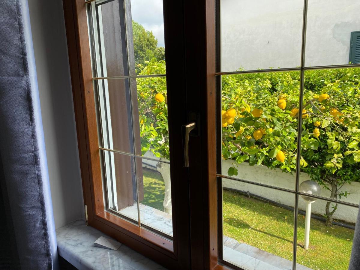 Villa Cecilia Bed And Breakfast Cellole Екстериор снимка