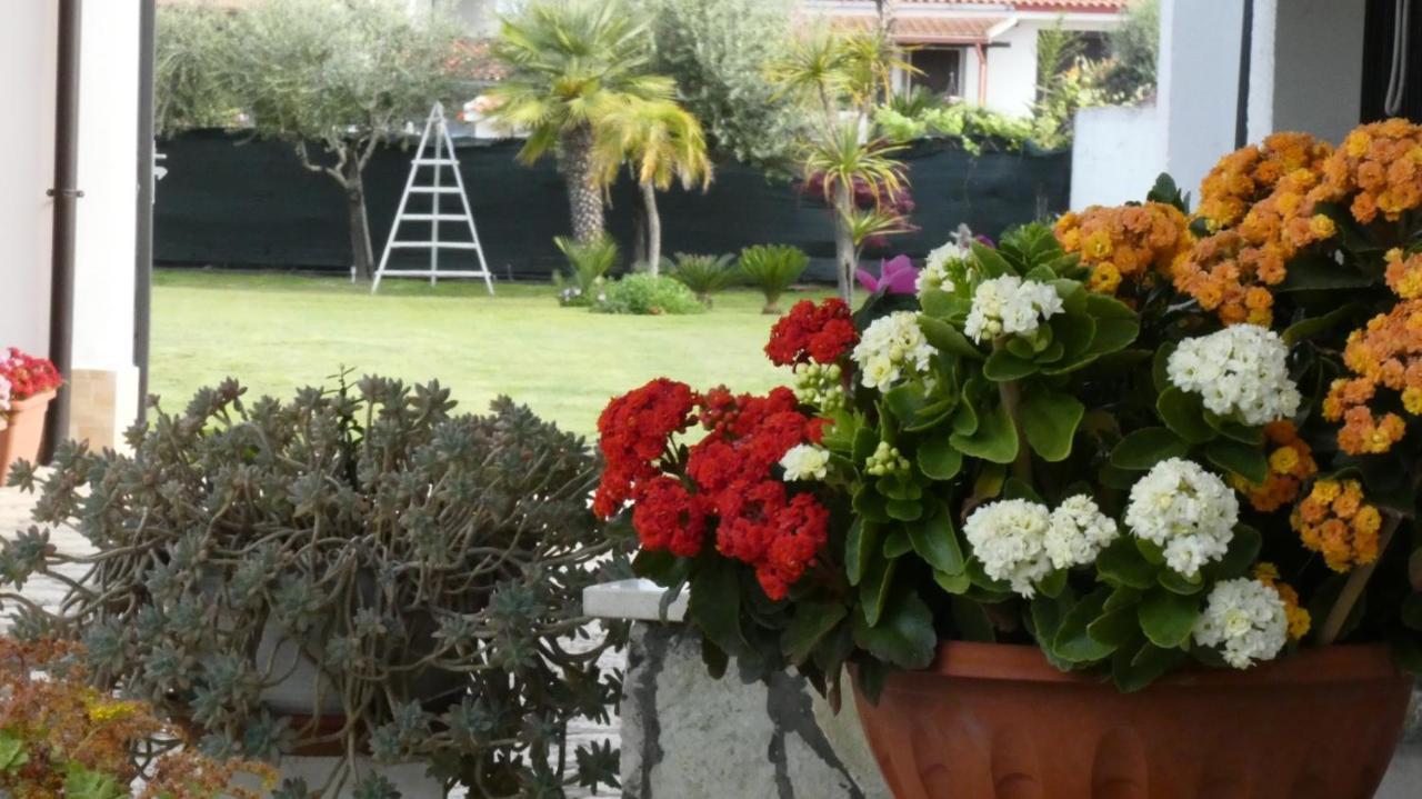 Villa Cecilia Bed And Breakfast Cellole Екстериор снимка