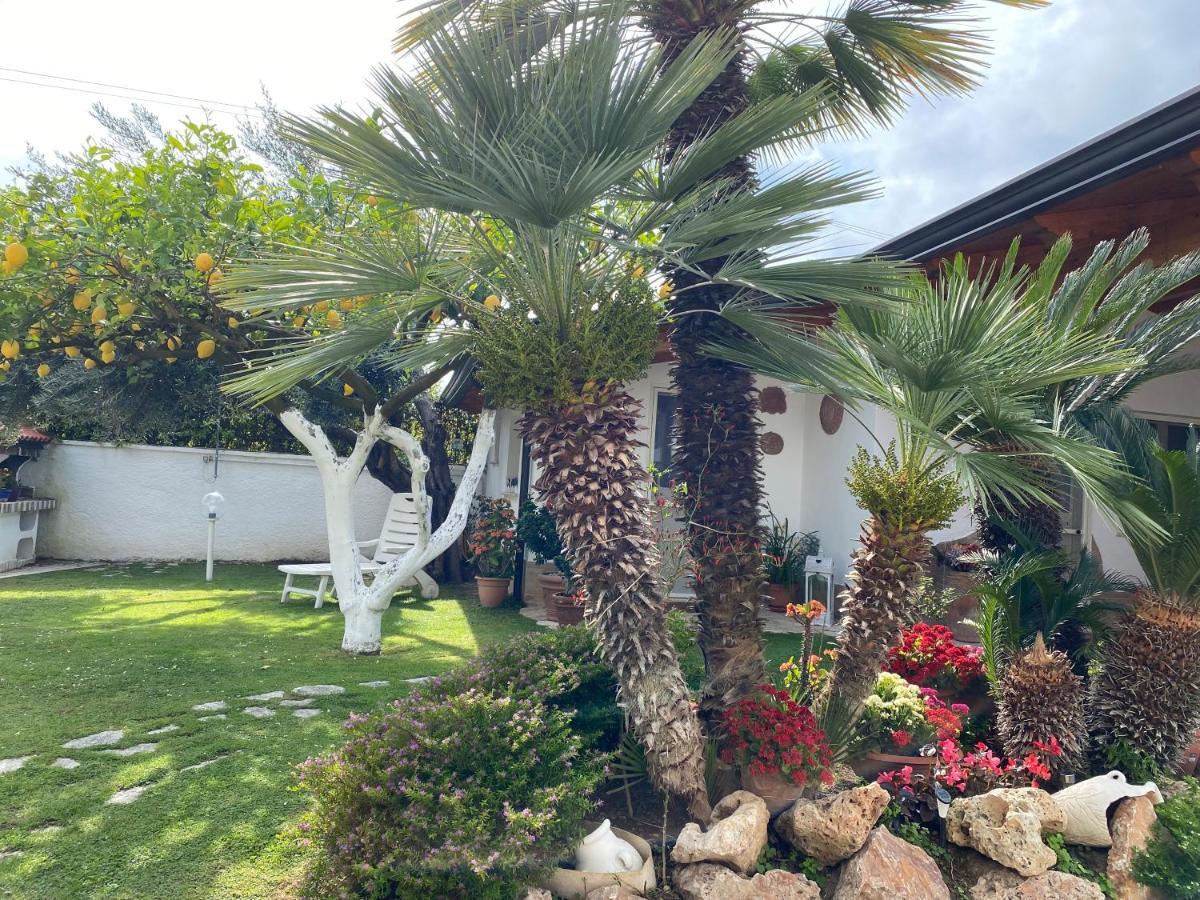 Villa Cecilia Bed And Breakfast Cellole Екстериор снимка